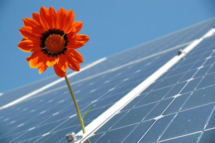 Blütezeit für Photovoltaik: Das Geschäftsklima ist äusserst positiv (Bild: pixabay)