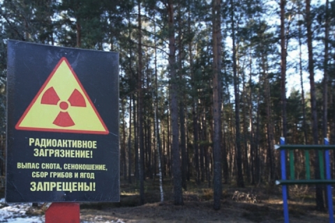 Warnschild aus einer als radiologisches Schutzgebiet deklarierten Sperrzone bei Choiniki. Das Sammeln, Jagen und Holz schlagen ist streng verboten. 